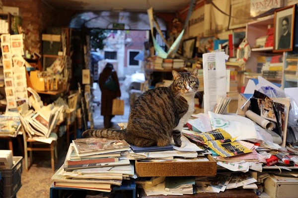 Libreria Acqua Alta in Venice, Italy.