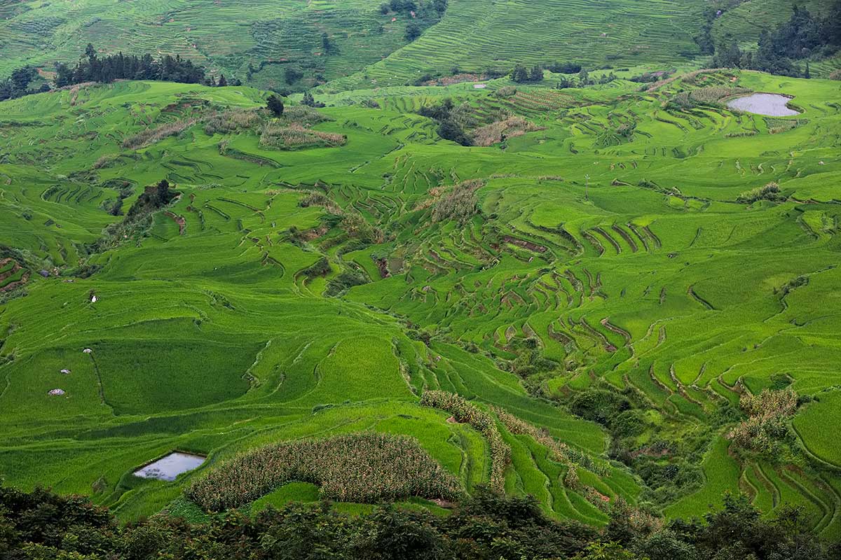 Honghe Hani Rice Terraces in Yunnan, China.