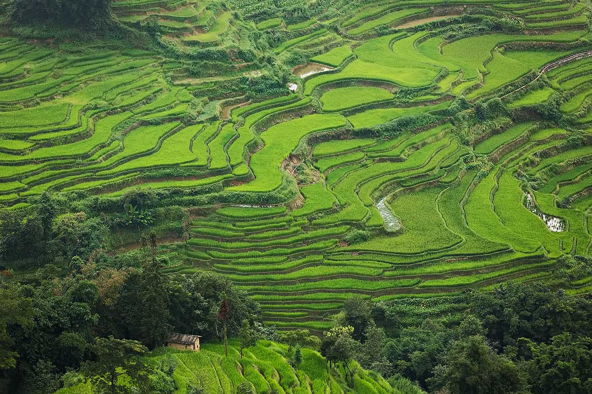 Honghe Hani Rice Terraces in Yunnan, China. Honghe Hani Rice Terraces in Yunnan, China.