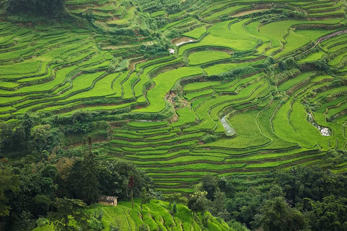 Honghe Hani Rice Terraces in Yunnan, China.