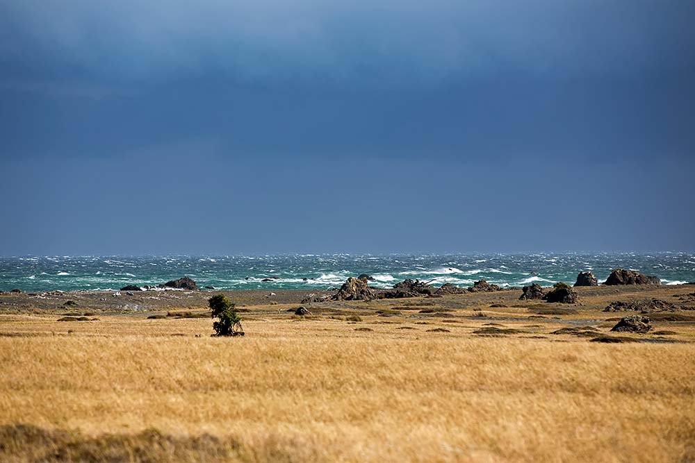 Once you're at the top of Cape Palliser lighthouse, it's easy to see why this area of ocean was known for seafaring disasters. This storm came quicker than I had hoped for... 