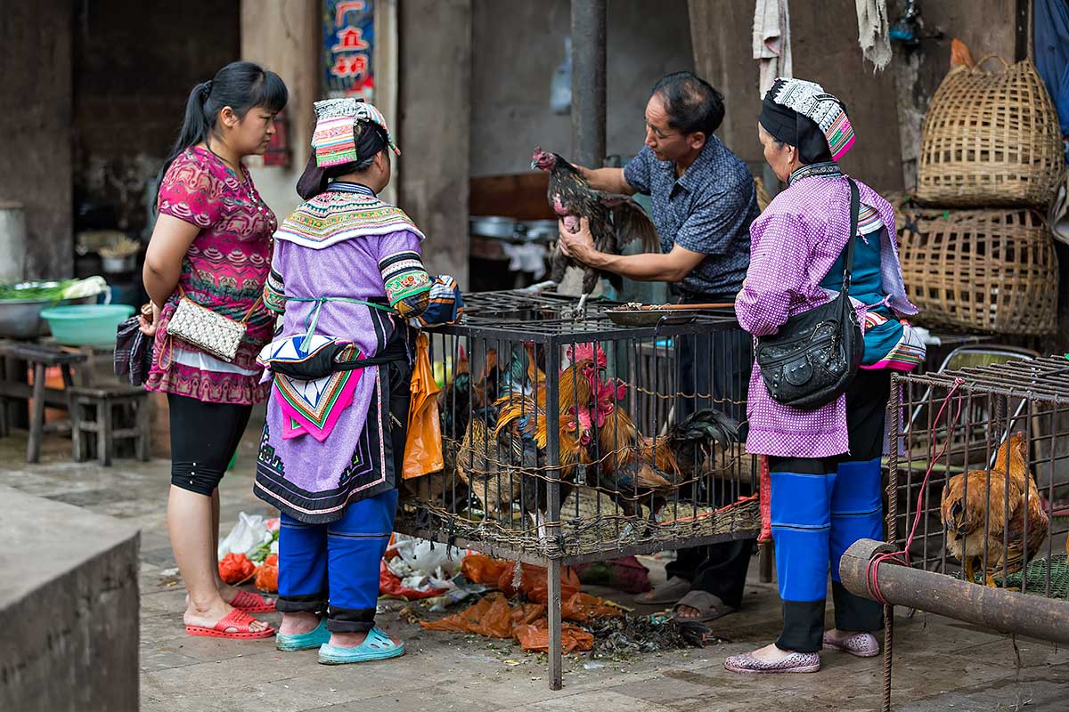 Shopping for chicken at the market in Xinjie, Yunnan Province, China.