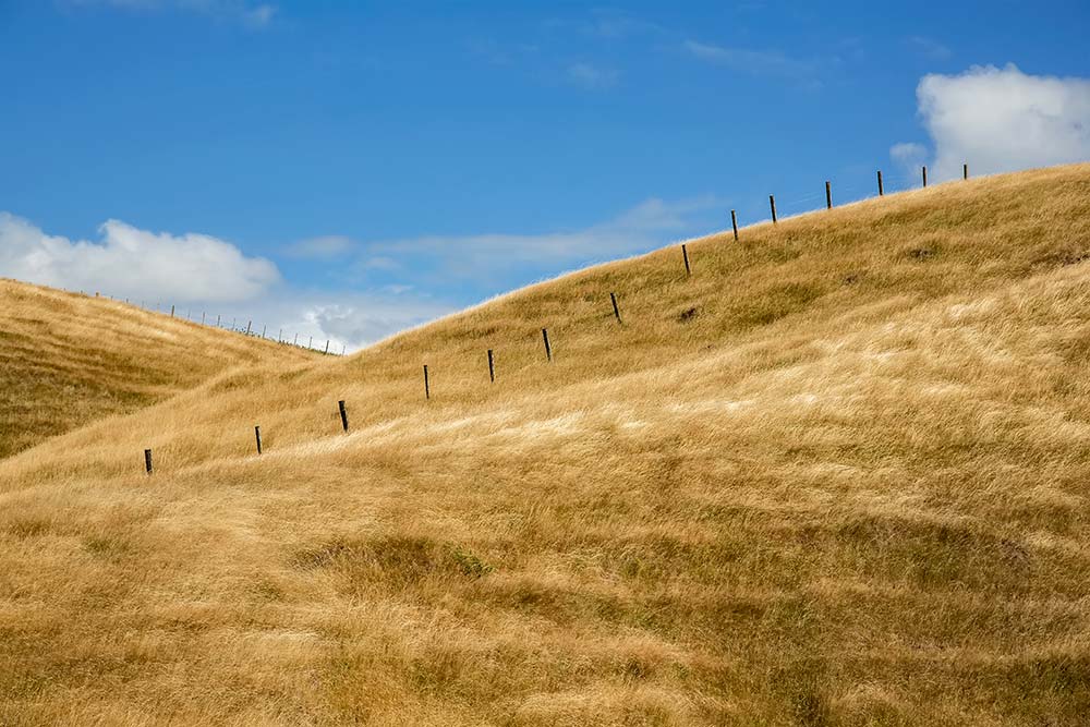 Fields decorate the landscape along the road down to the coast on Cape Palliser, New Zealand.