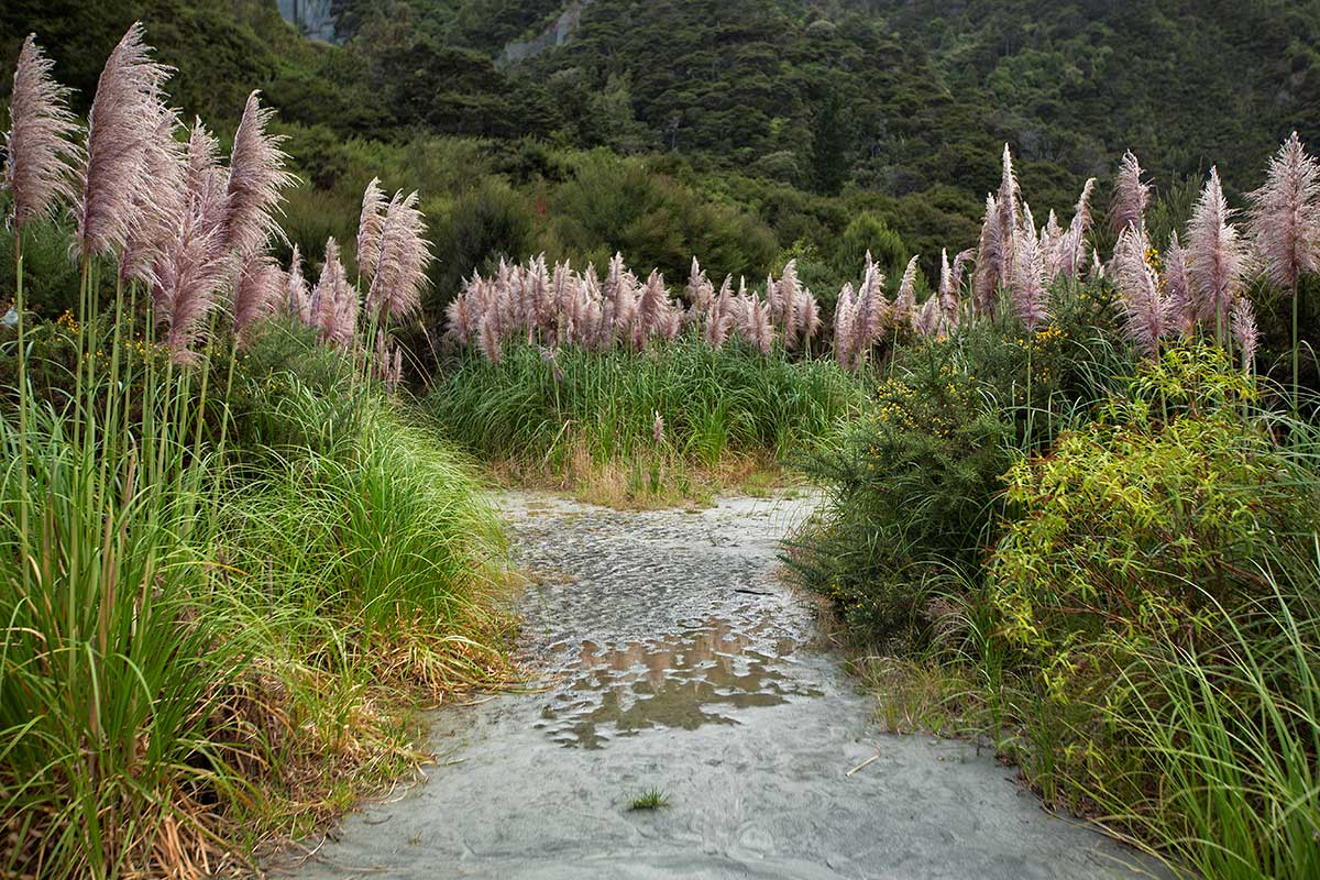 The Putangirua Pinnacles in New Zealand. 