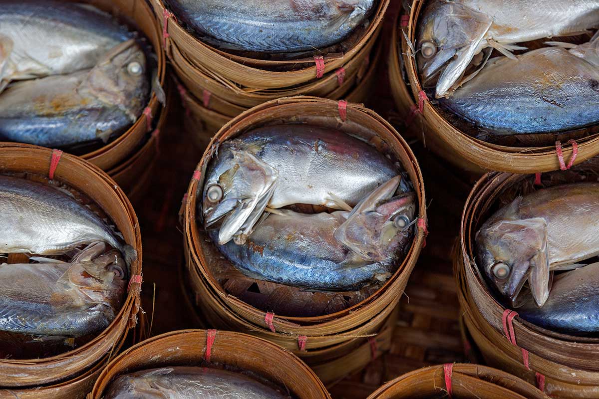 Khlong Toei Market is Bangkok's biggest fresh market and you will find almost anything you need here.