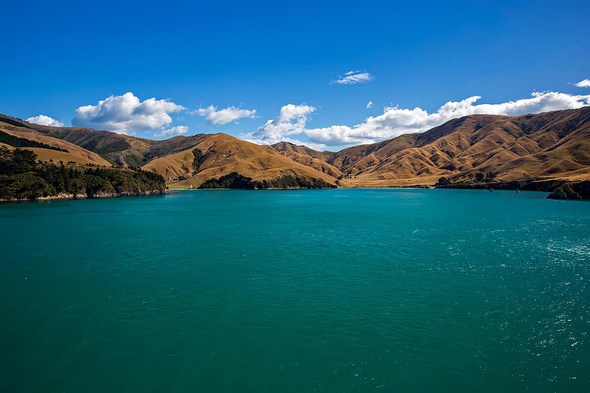 The ferry ride across Cook Strait was a real highlight. Especially when reaching the South Island. The ferry ride across Cook Strait was a real highlight. Especially when reaching the South Island.