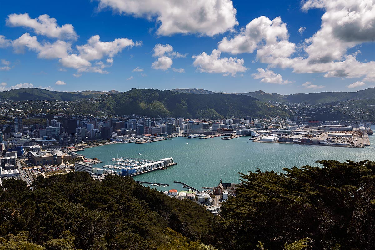 The view of Wellington from Mount Victoria Lookout.