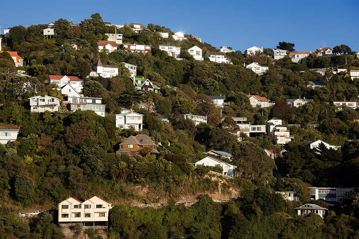 Mount Victoria in Wellington is a well known spot for visitors and looks like a nice area to live in.