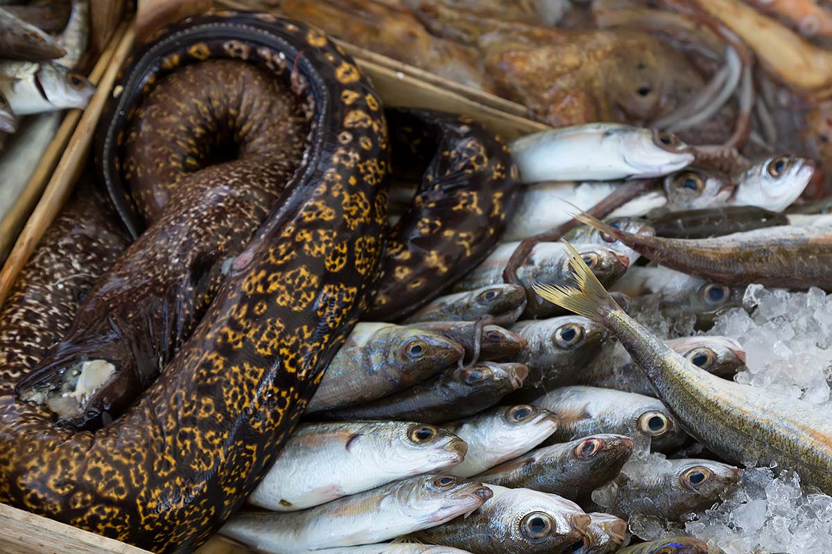 The fish market in Trapani has all kinds of shellfish and other sea creatures besides just fish.