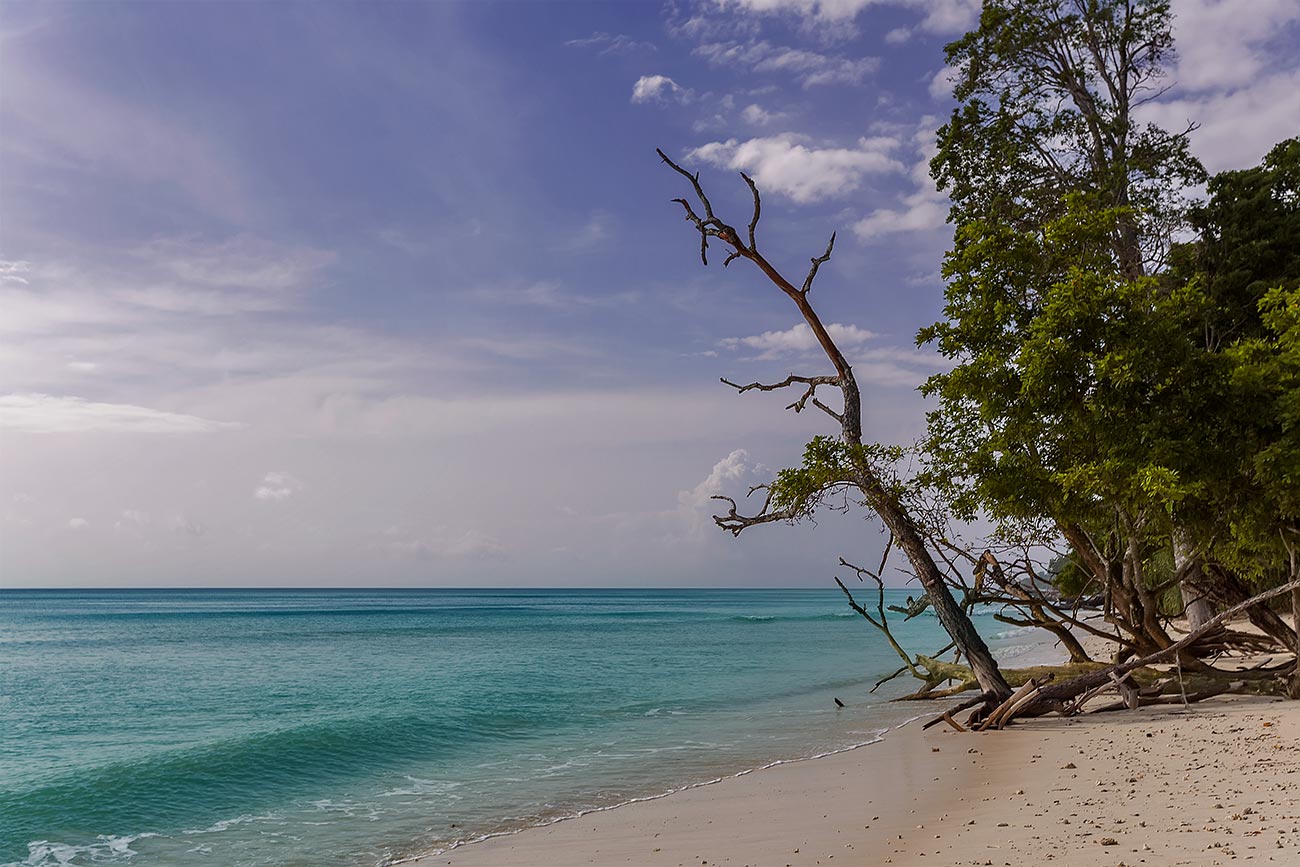 havelock-island-radhanagar-beach-andaman-islands-india-1