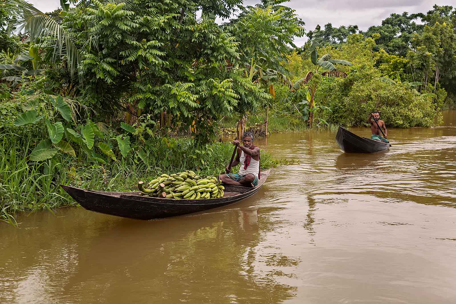 guava-plantations-boat-canal-swarupkathi-bangladesh-1