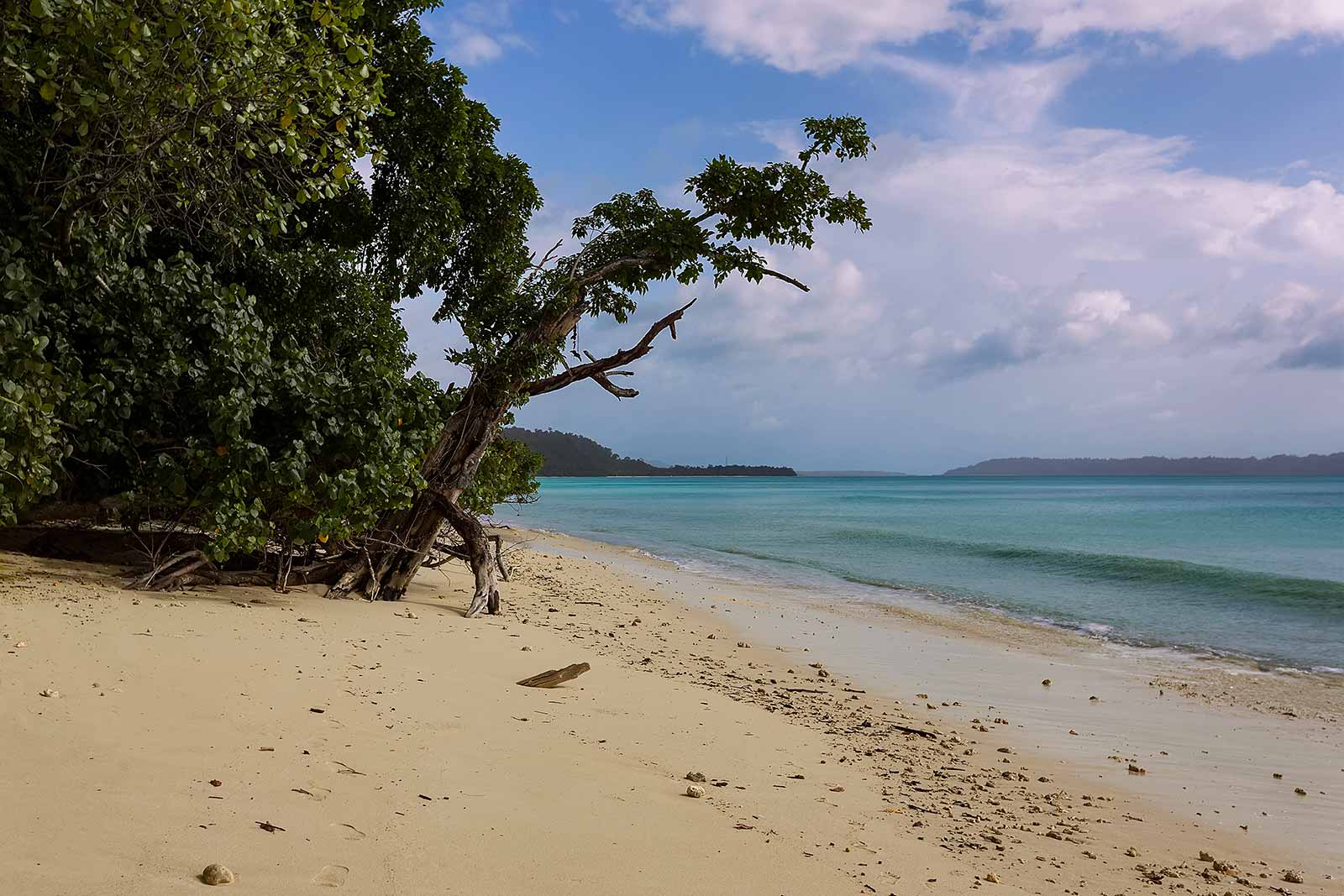 havelock-island-vijaynagar-beac-andaman-islands-india-8