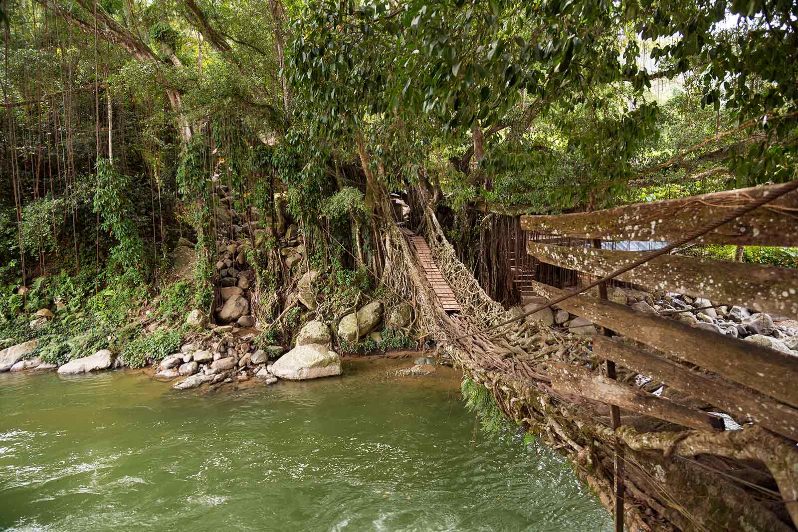 living-root-bridge-sumatra-padang-indonesia-1