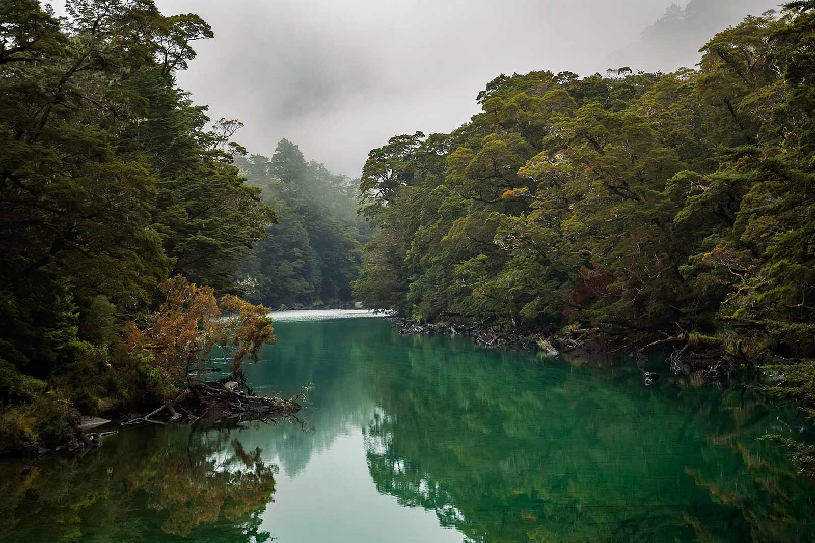 milford-track-day-1-clinton-river-landscape-new-zealand-1