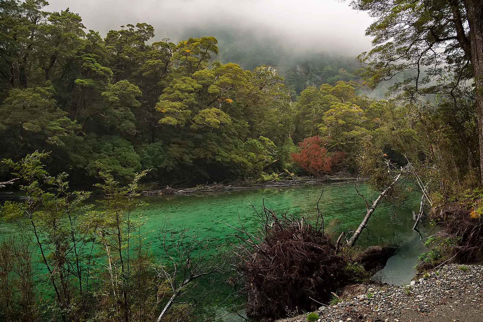 milford-track-day-1-clinton-river-landscape-new-zealand