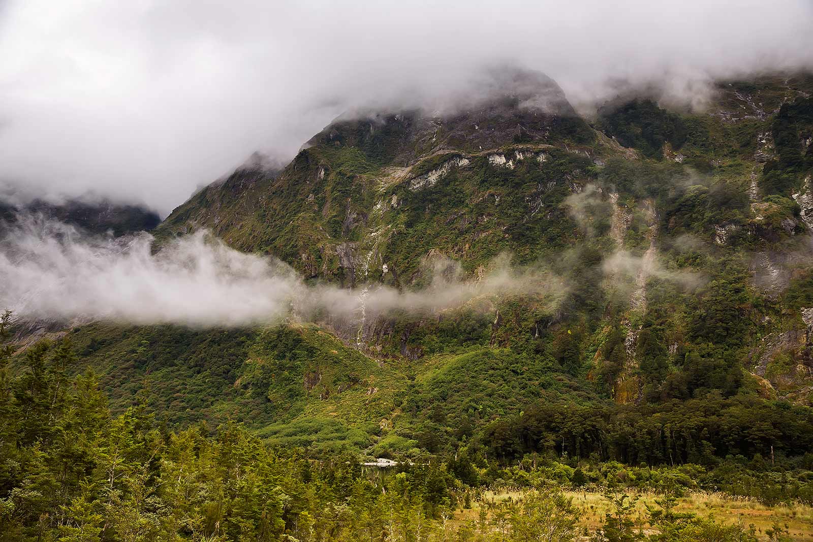 milford-track-day-1-clinton-valley-new-zealand