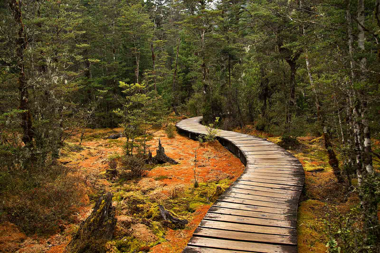 milford-track-new-zealand-1-2