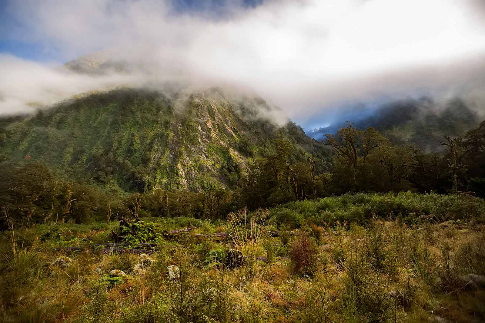 milford-track-landscape-mist-new-zealand