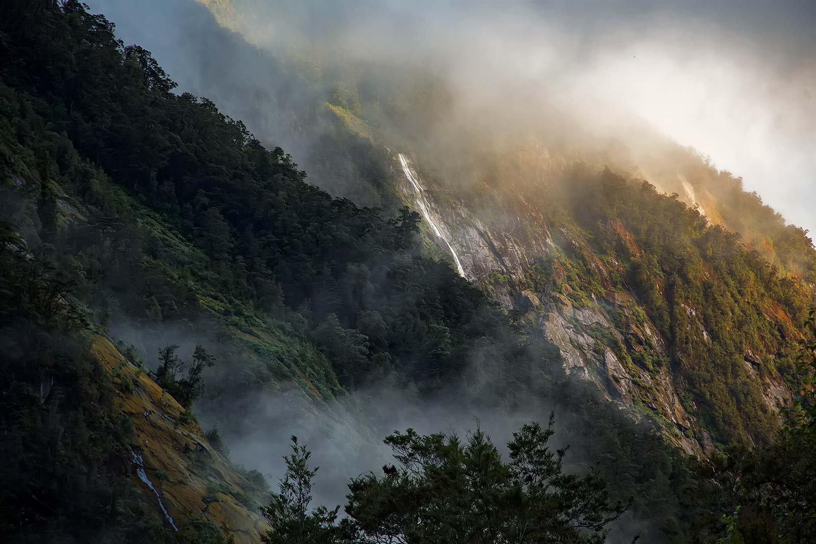 milford-track-new-zealand-3-2