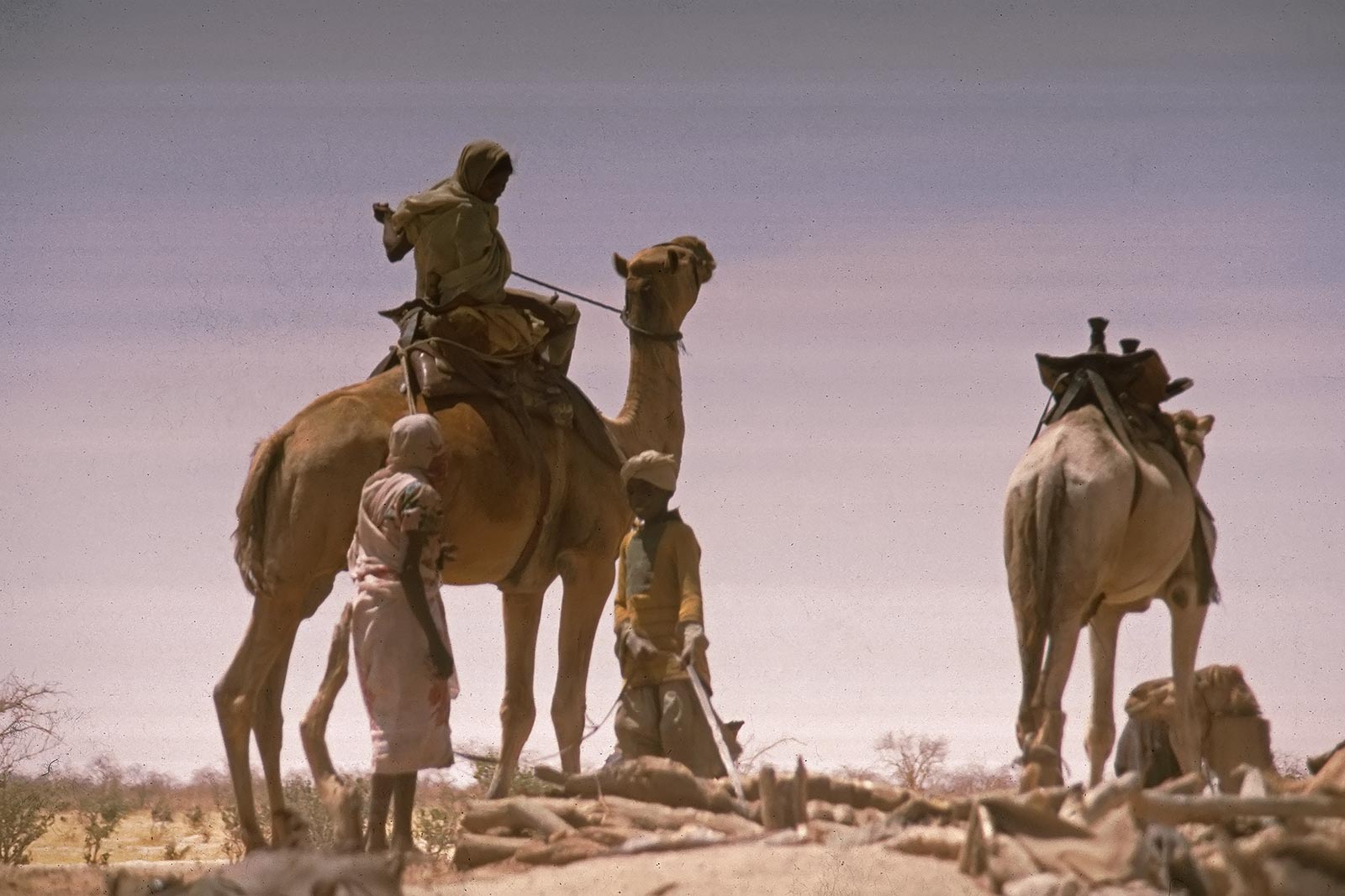 sudan-egypt-border-trucking-unimog