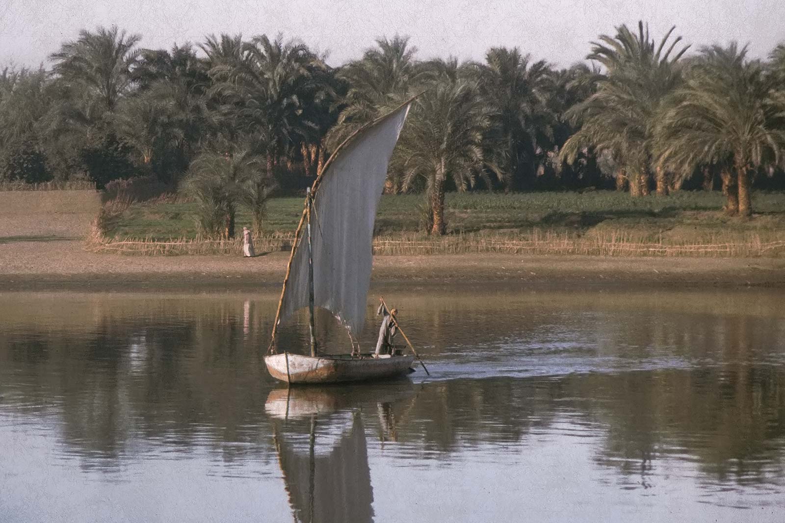 nile-river-aswan-egypt-trucking-africa