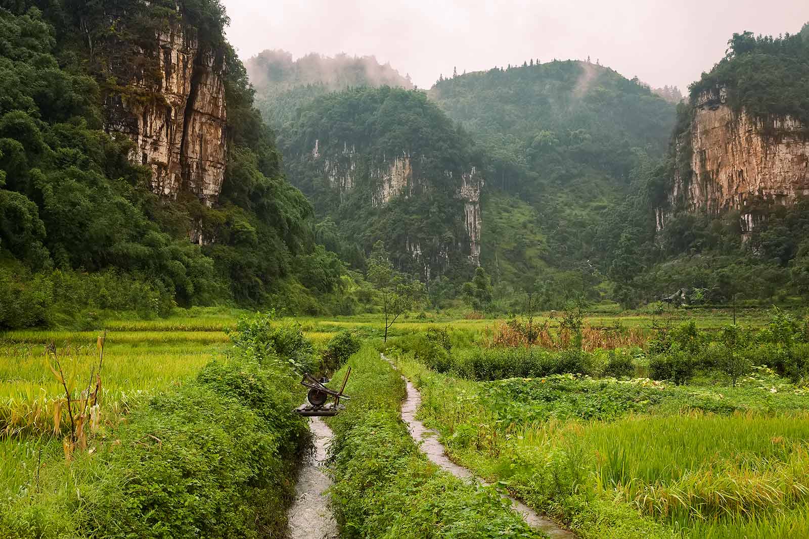 Luobiao is located in a small river valley with some of the most impressive vegetation we've come across.