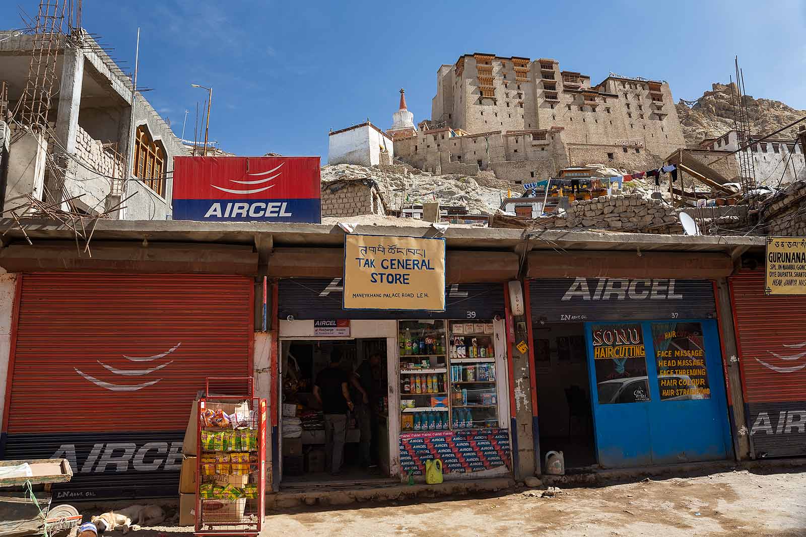 leh-palace-ladakh-kashmir-india