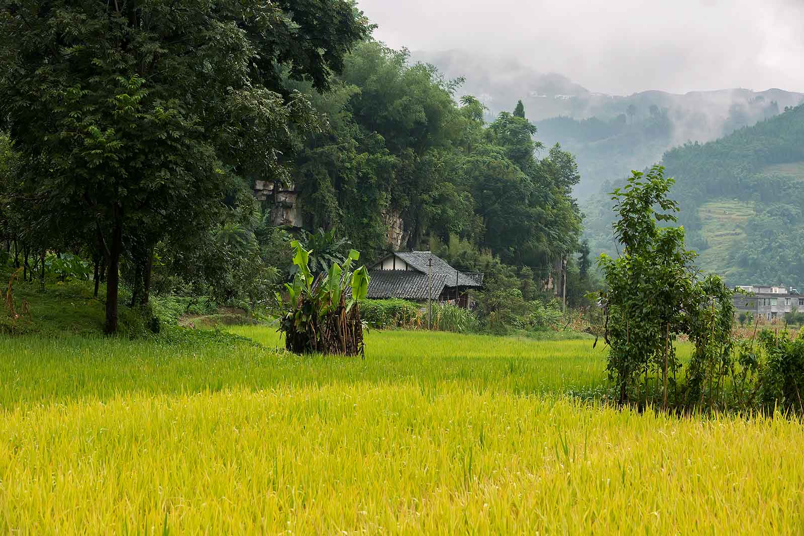 If you enjoy peace and quite, then the area of Luobiao is the right sport for you. Here you can truly disconnect from the outer world and experience nature at its best.