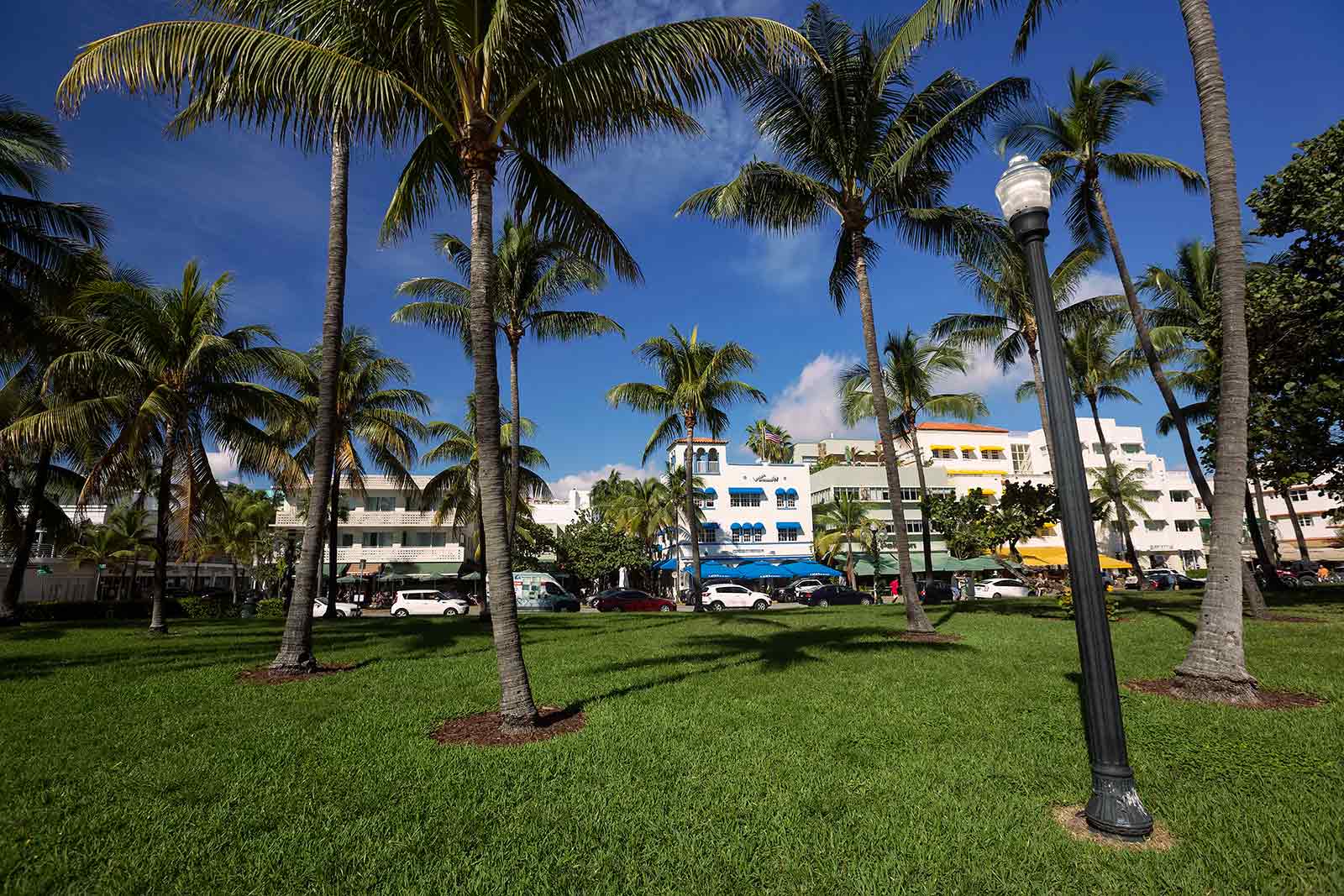 Miami Beach offers everything you expect from a bustling city.