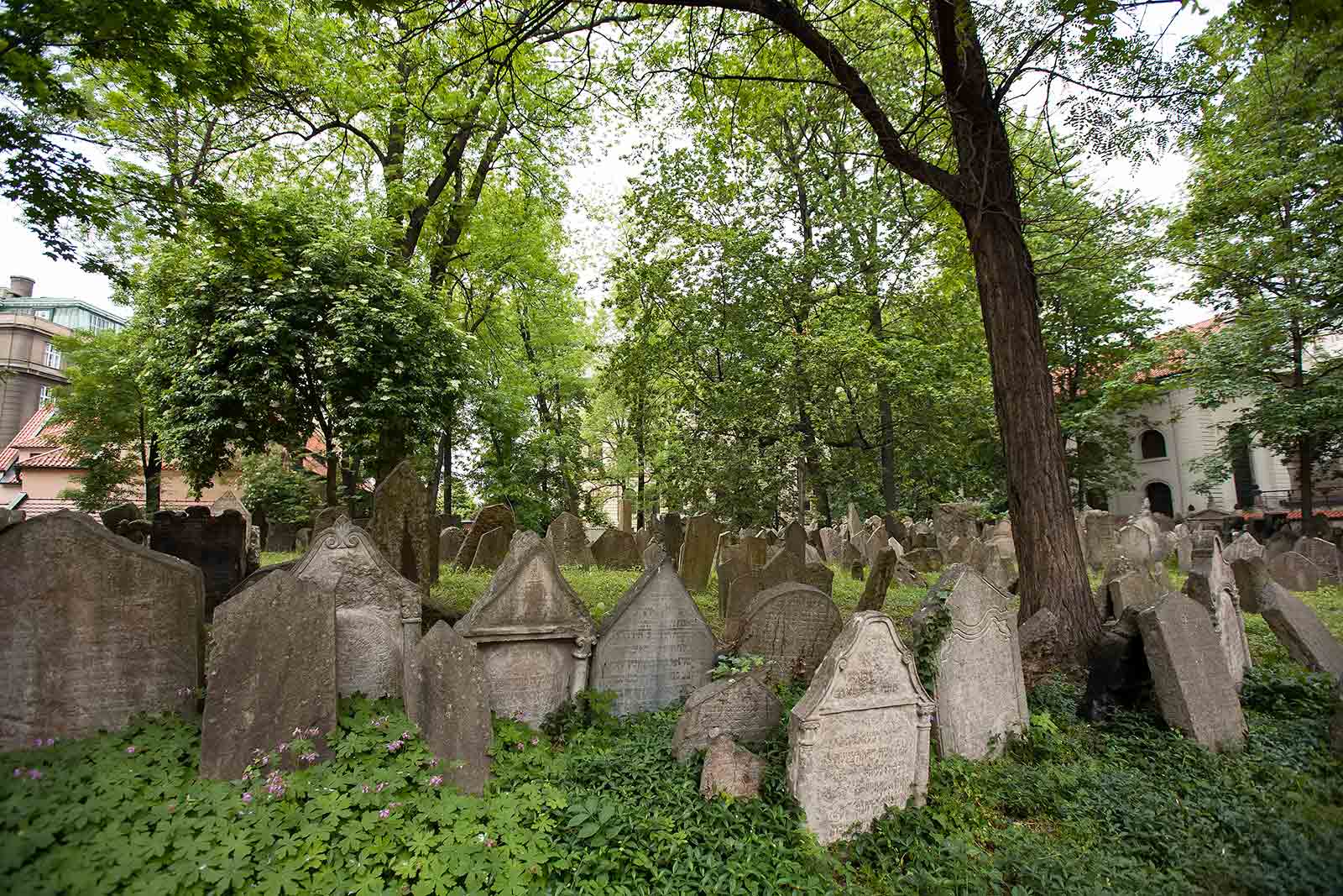 The Old Jewish Cemetery is among the oldest surviving Jewish burial grounds in the world and along with the Old-New Synagogue, it's the most important site in the Jewish quarter of Prague.