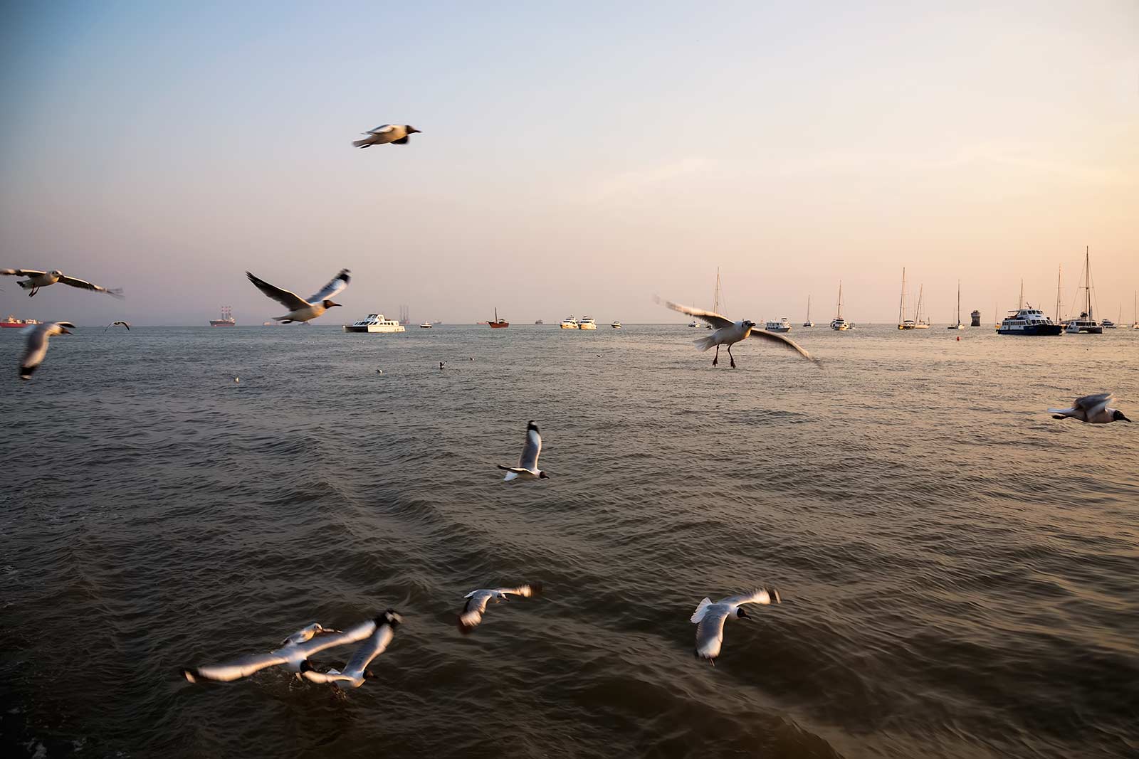 A Mumbai boat cruise at dawn will provide you with perfect photo opportunities.