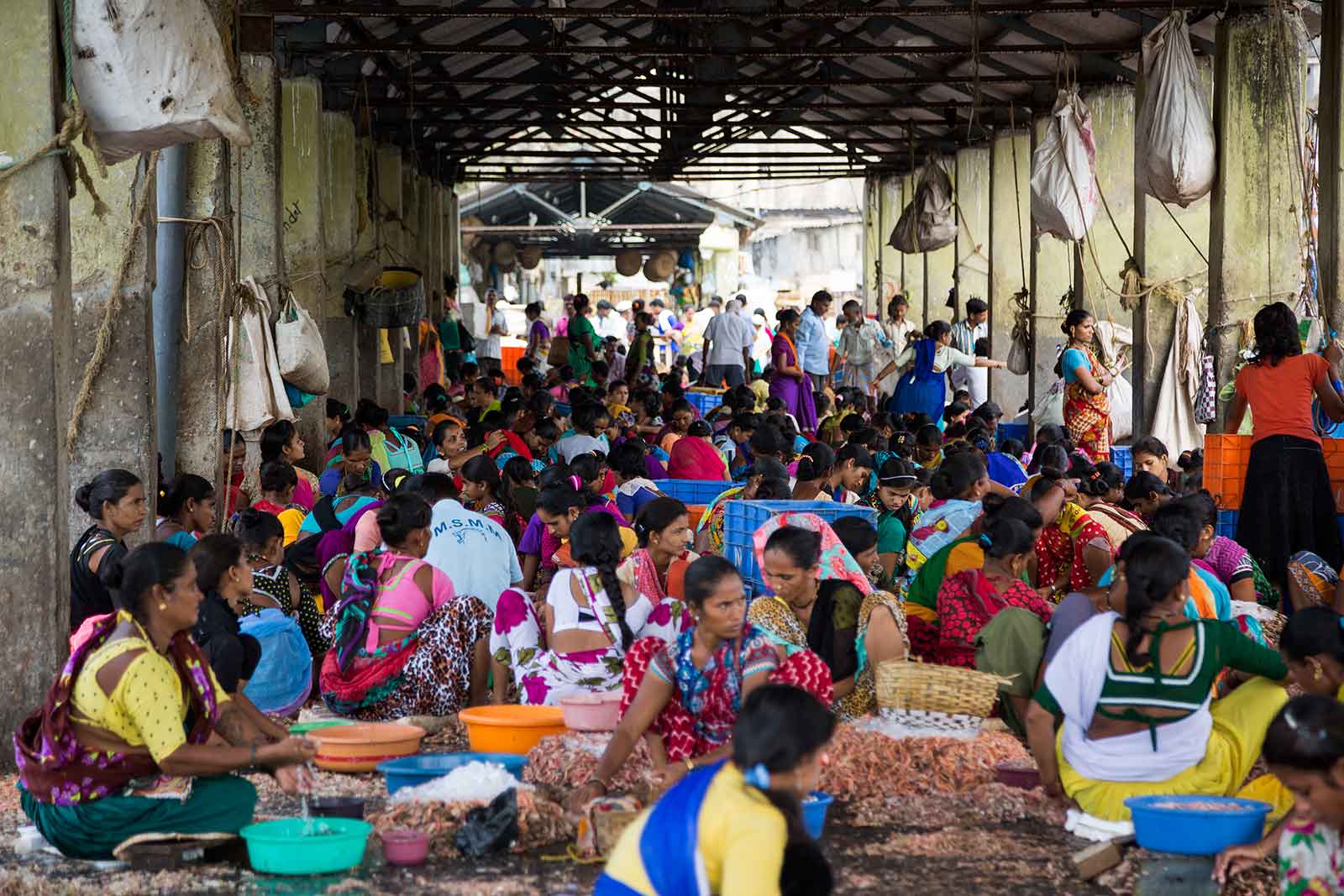 Only women are pulling shrimps while chatting along at the Sassoon Docks.