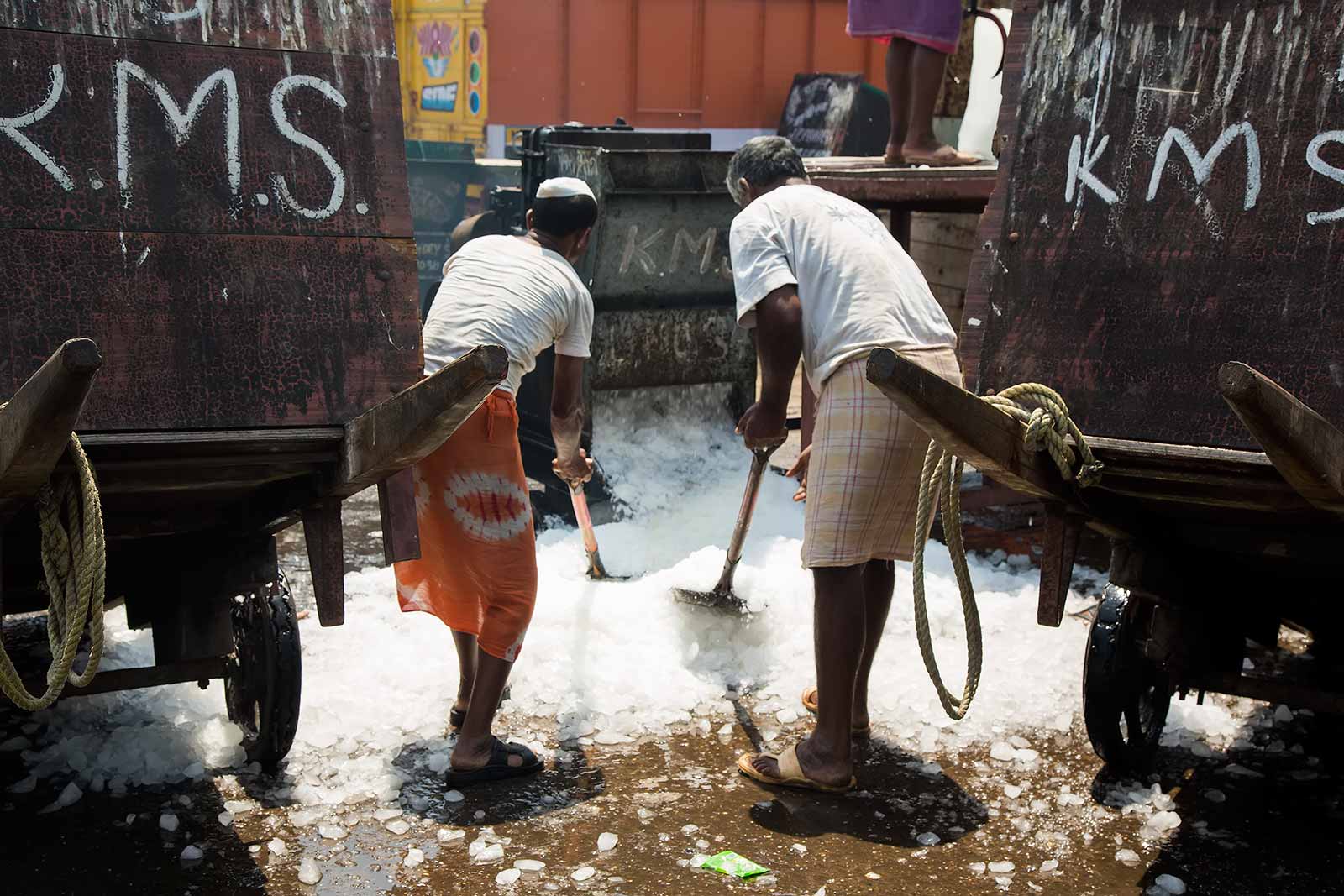 These men at the Sassoon Docks are filling up trailers with crushed ice, which are then pulled to the boats and packed into the stowage for the next trip out to sea.