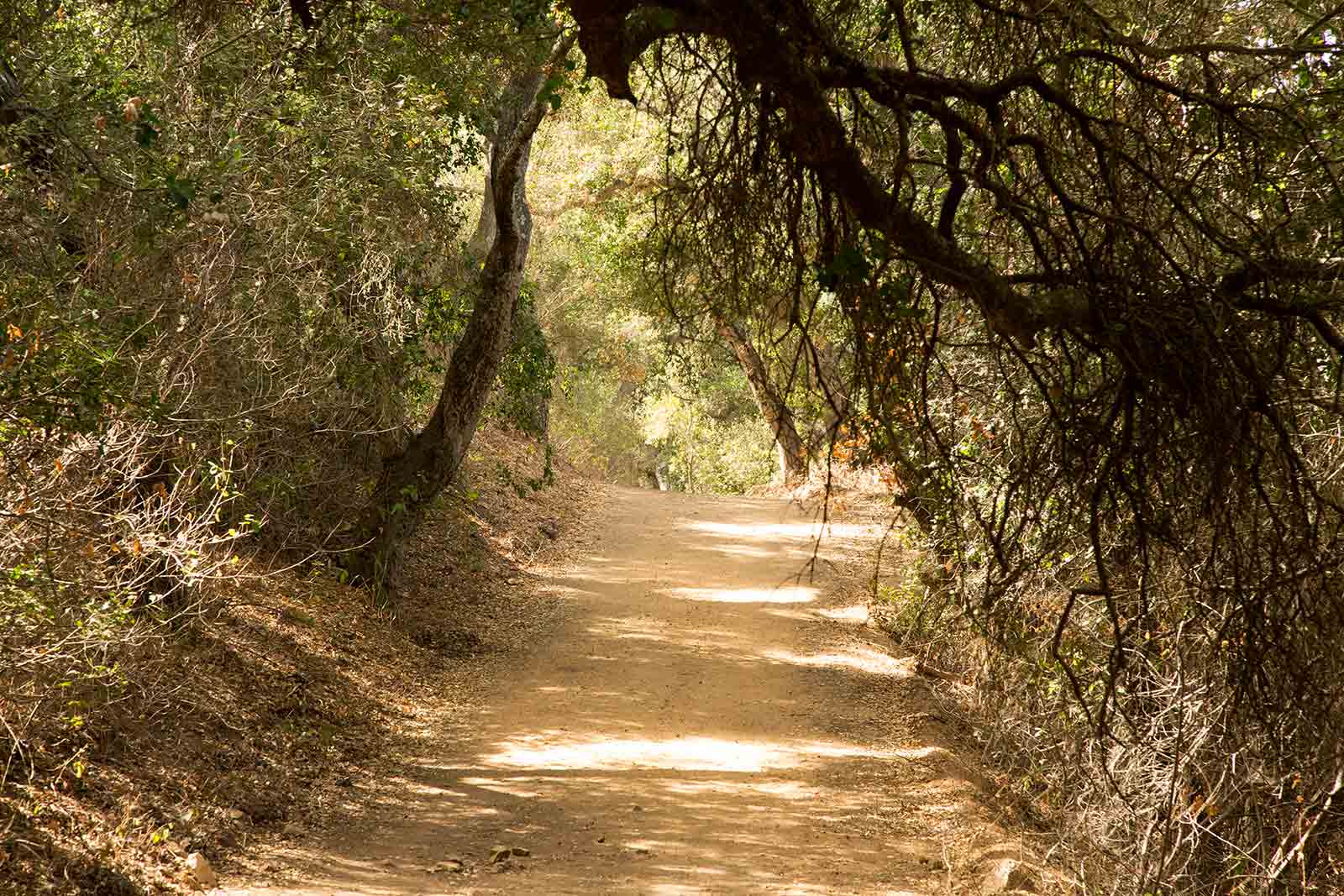 Whether you're experienced, or prefer shorter walks, Santa Barbara offers hikes for every fitness level.