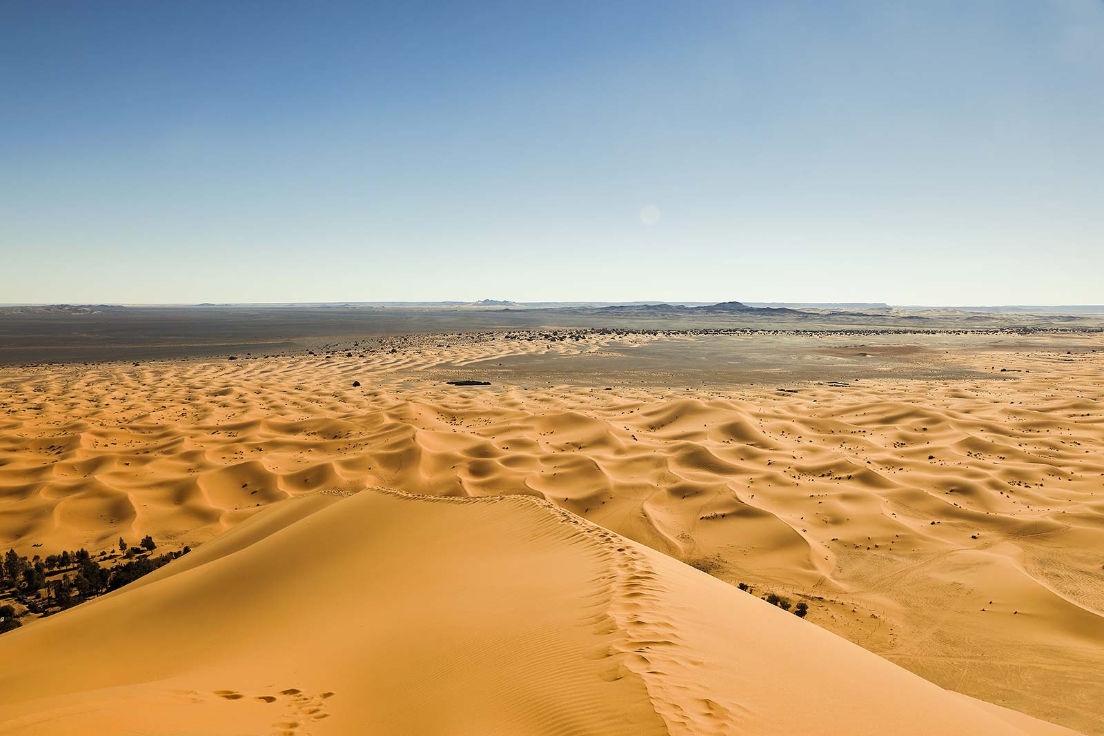 On top of the highest sand dune of the Erg Chebbi. What a view?!
