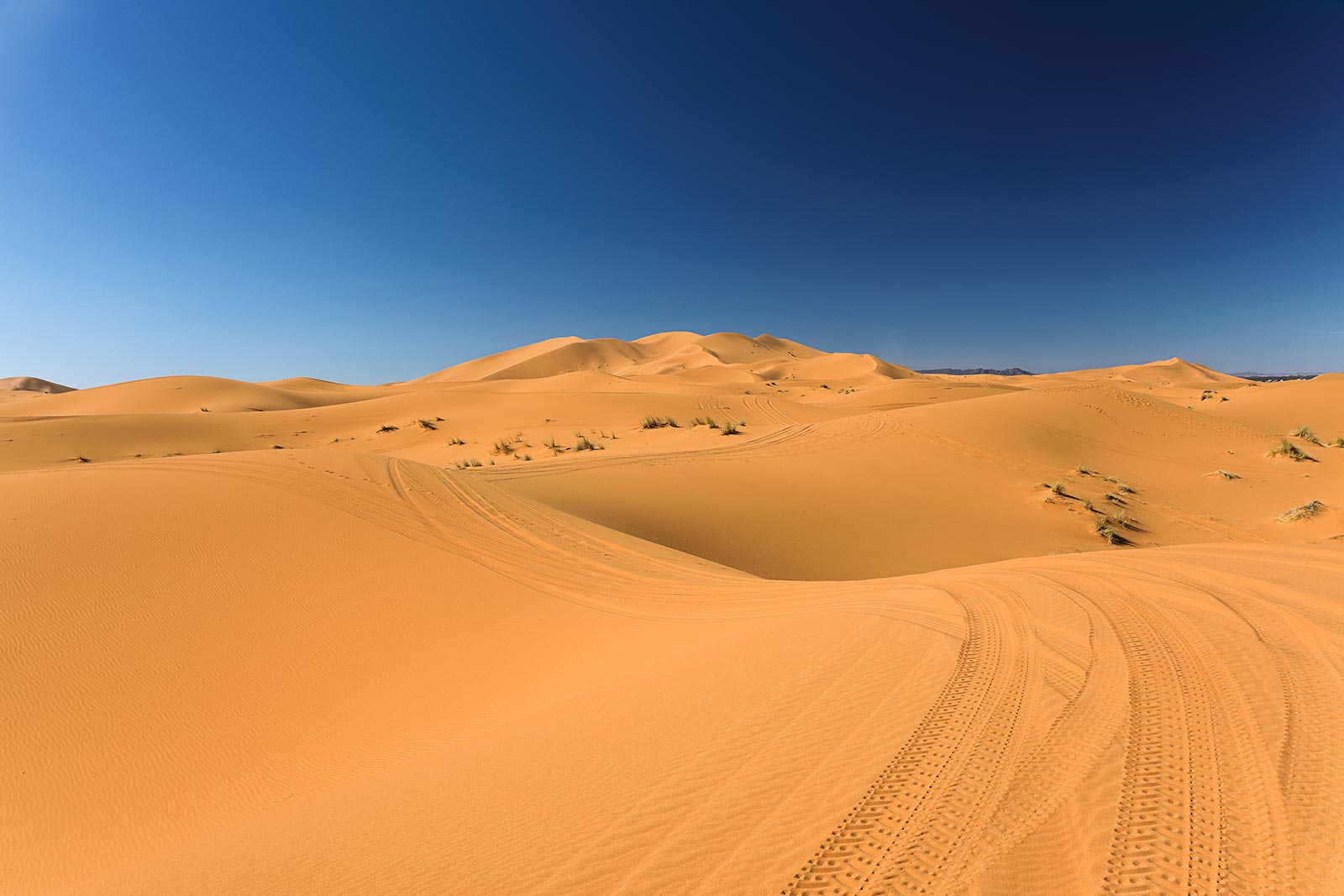 The highest dunes are those near, or just south of, Merzouga itself, peaking with the aptly named Grand Dune de Merzouga, a golden mountain recognisable.