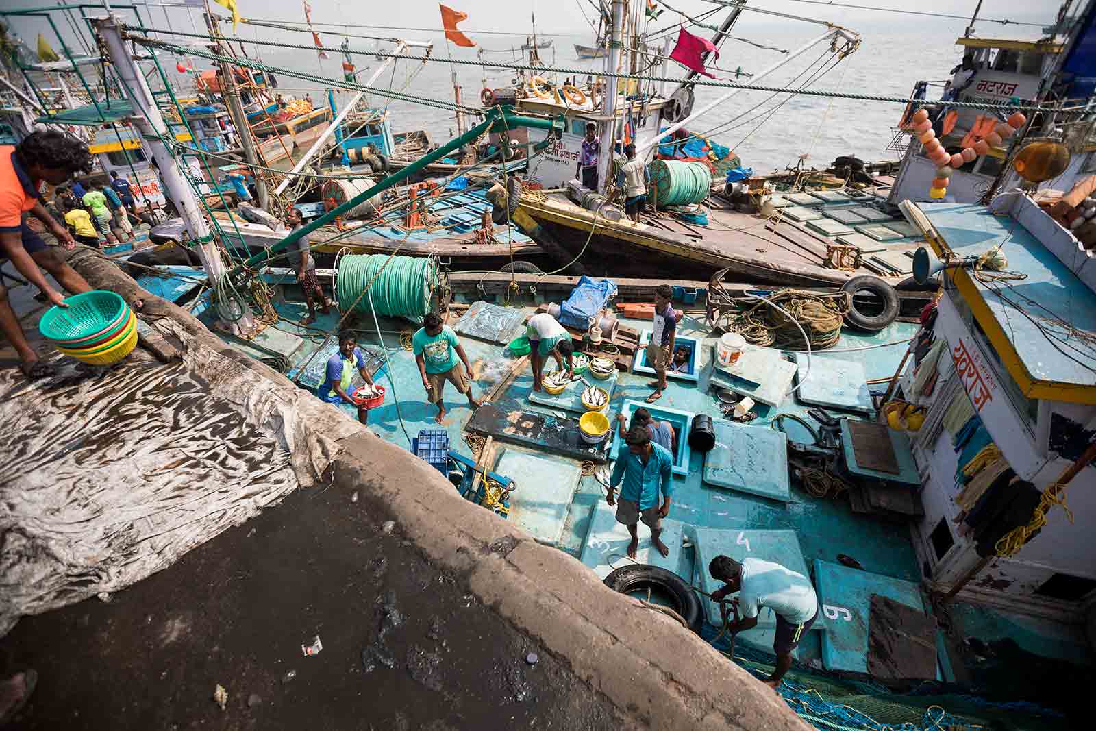 Currently, about 1,500 trawlers operate at the Sassoon Docks, bringing in around 20 tonnes of fish every day.